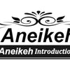 Aneikeh 2025 New Fashion Open Toe Platform High Heel Women Summer Mules Slip-On Outdoor Slippers Sandals Size 35-42 Silver Gold