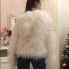2023 Women Faux Fur Coat Autumn Winter High Quality Fluffy Short Coat Faux Fur Jacket - MAGUSTA BEAUTY