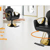 Barber Chair, Salon Chair for Hair, Height Adjustable Hair Chair with ProfessionalHydraulic PUM, Beauty Salon Hairdresser Chair