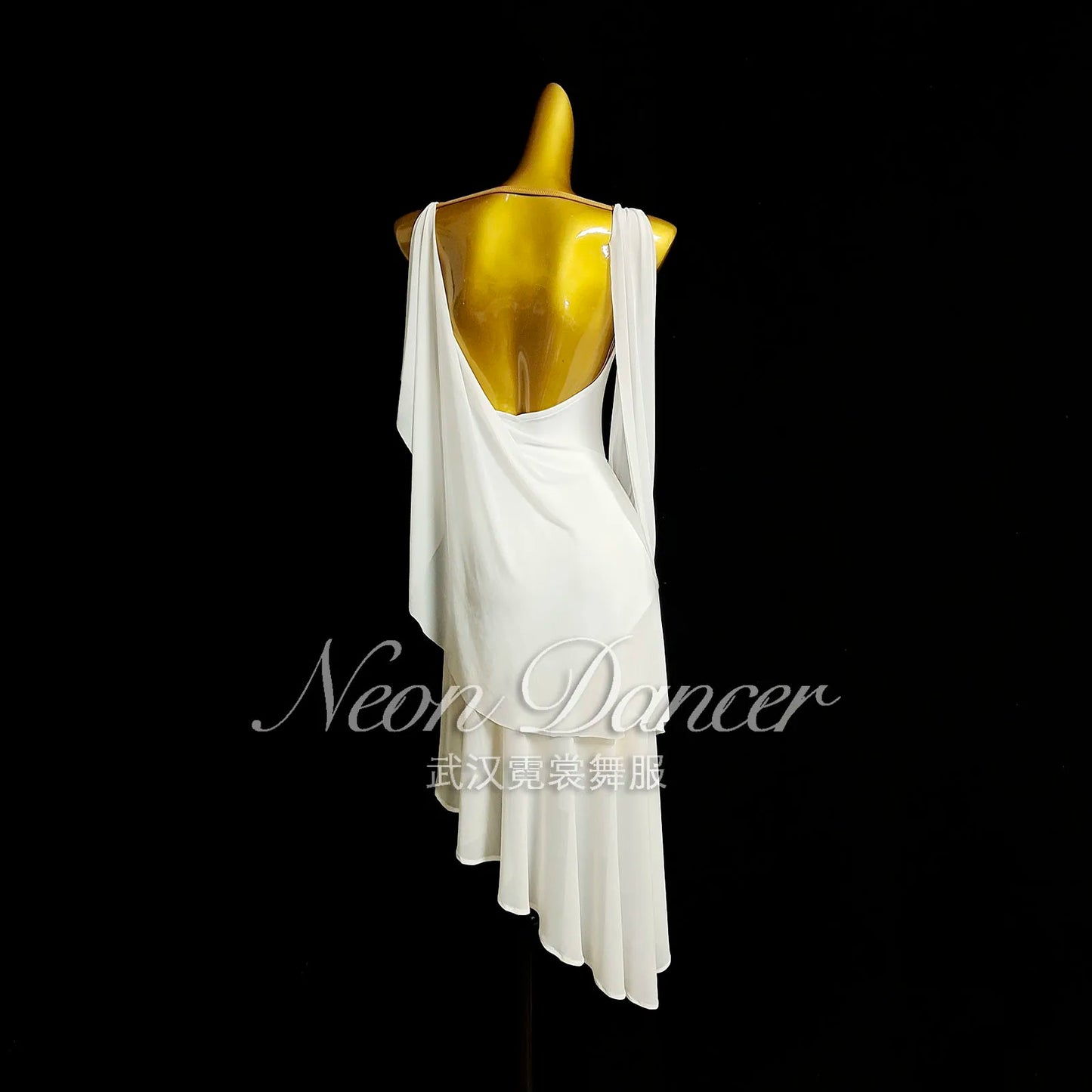 Neondancer New Women's Latin Dance Clothing Rumba Performance Competition Clothing Mesh Fabric Latin Long Dress