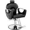 Beauty Salon Chair with Adjustable Tilt Height, Hydraulic Hairdressing Chair, Hairstylist Salon Styling Chair, Spa Beauty
