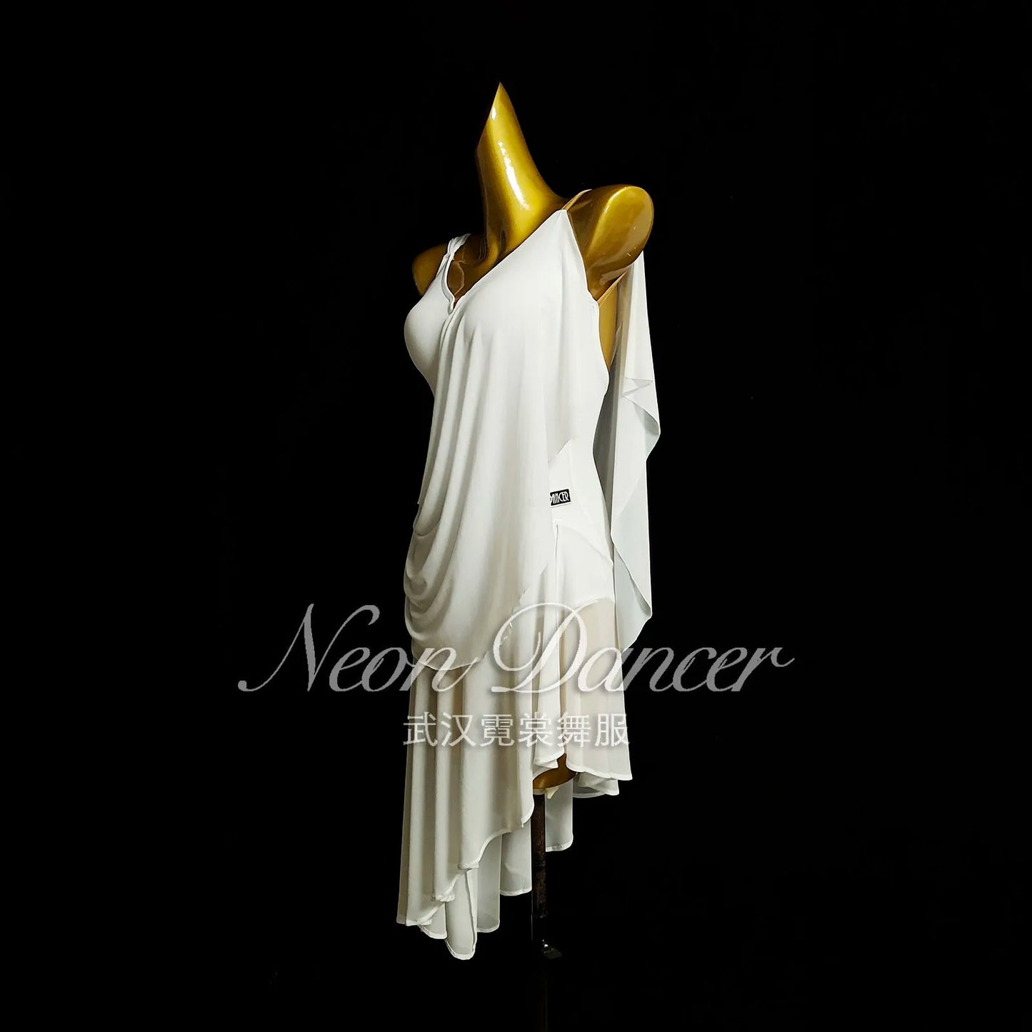 Neondancer New Women's Latin Dance Clothing Rumba Performance Competition Clothing Mesh Fabric Latin Long Dress